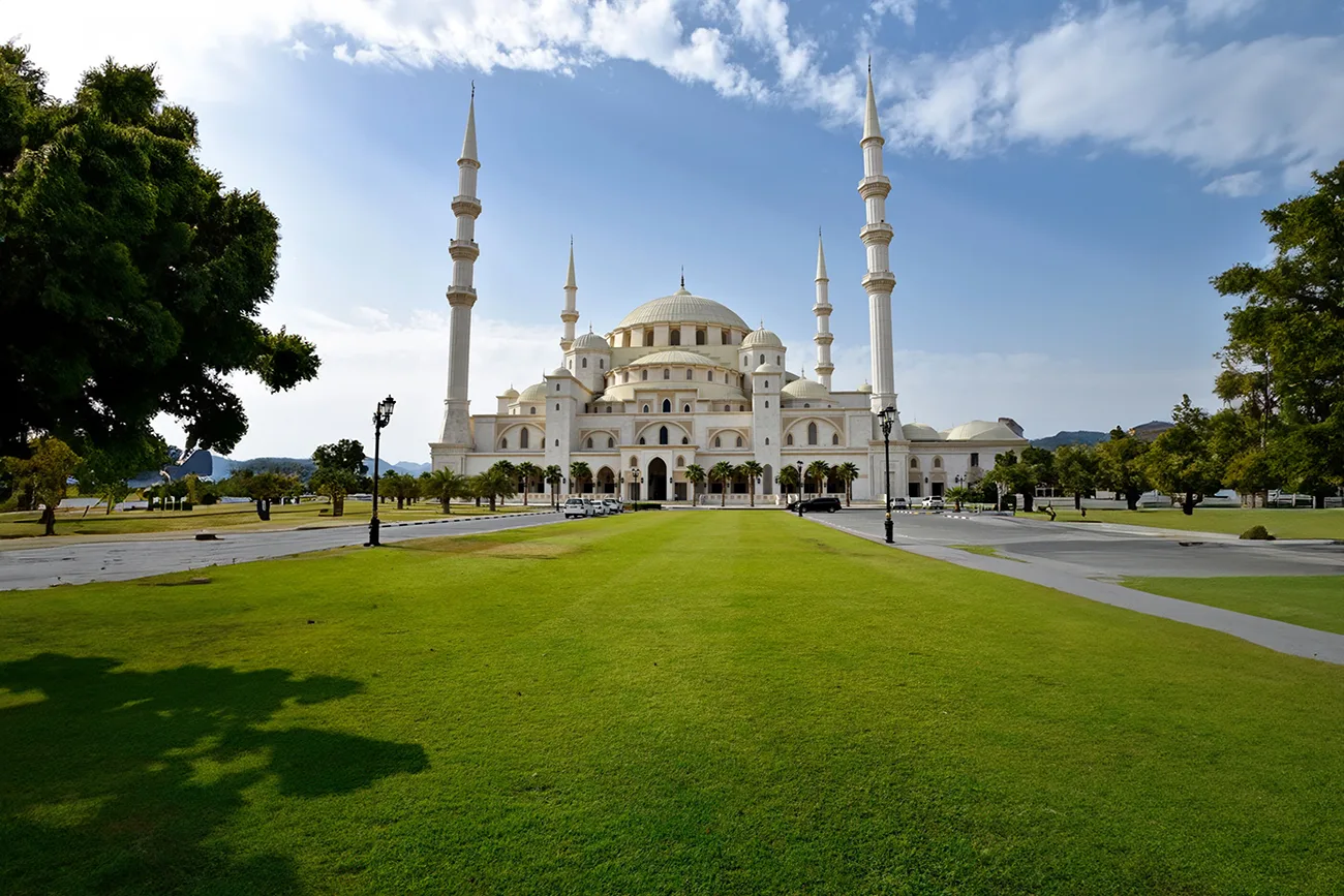 travel & Tours (927)
